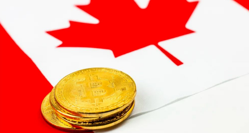 Best Bitcoin Wallets in Canada